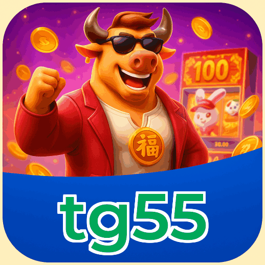 Termos e Condições Transparentes tg55